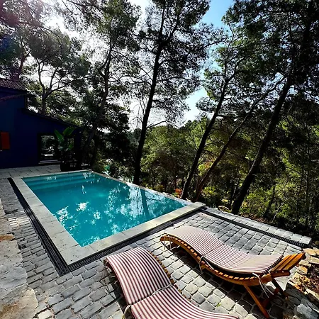 Pine Haven Retreat *