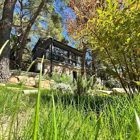 Pine Haven Retreat *