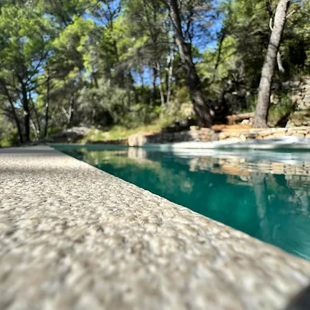 Pine Haven Retreat * Grohote