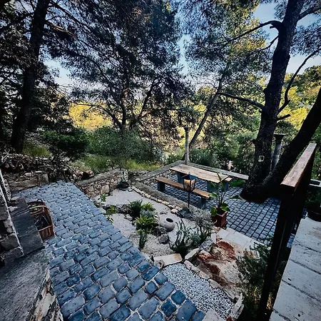 Pine Haven Retreat