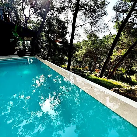 Pine Haven Retreat Ferienhaus *