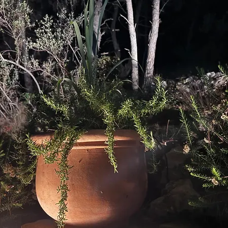 Pine Haven Retreat Ferienhaus *