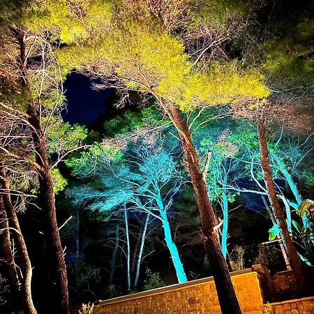 Pine Haven Retreat *