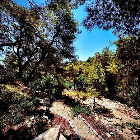 Pine Haven Retreat Ferienhaus Grohote