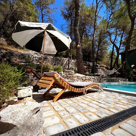 Vakantiehuis Pine Haven Retreat *