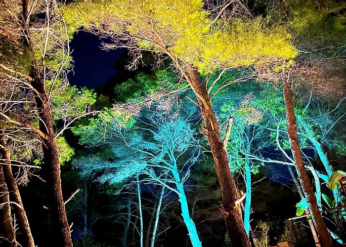 Pine Haven Retreat *