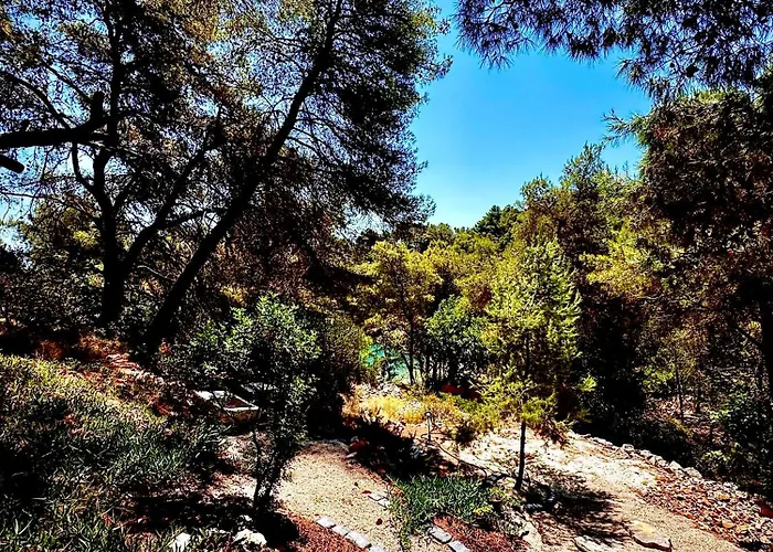 Pine Haven Retreat 度假居 Grohote